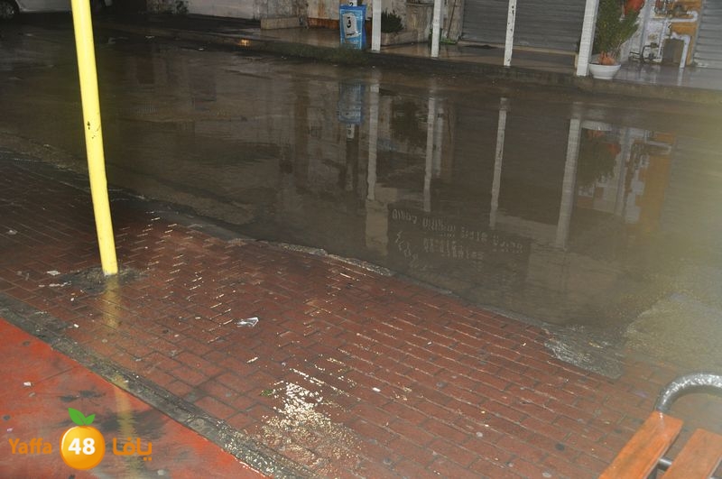 rain lud 1212 (24).JPG